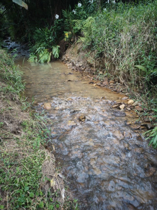 Imagem Imóvel à Venda, em Ribeirão Da Velha - Nova Trento Imagem Imóvel à Venda, em Ribeirão Da Velha - Nova Trento