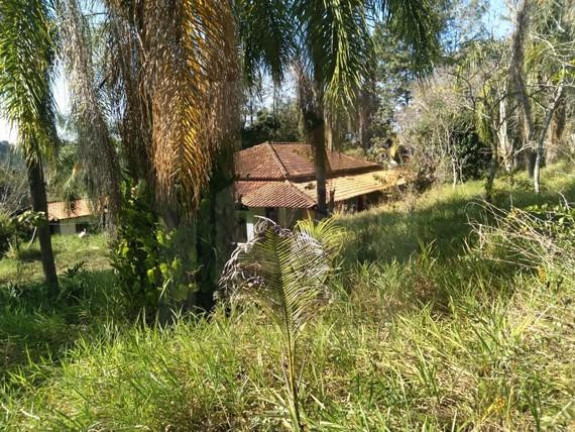 Imagem Chácara com 3 Quartos à Venda, 20.000 m² em São Roque Novo - Bofete Imagem Chácara com 3 Quartos à Venda, 20.000 m² em São Roque Novo - Bofete
