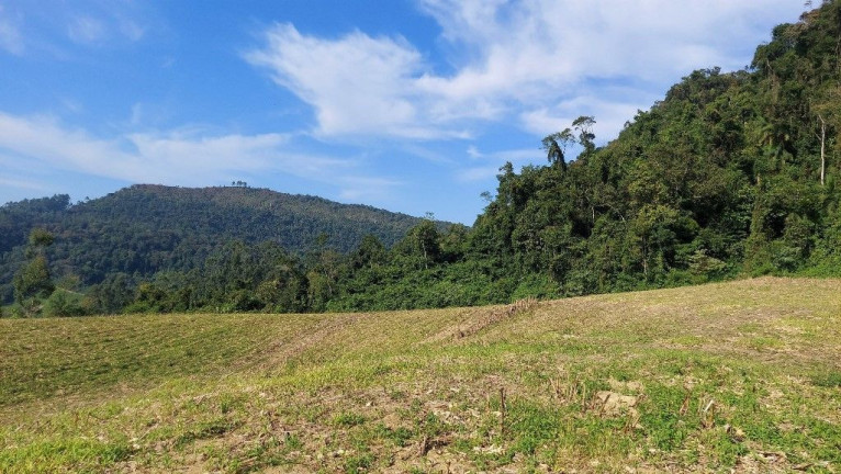 Imagem Terreno à Venda, 198.000 m² em Zona Rural - Presidente Nereu Imagem Terreno à Venda, 198.000 m² em Zona Rural - Presidente Nereu