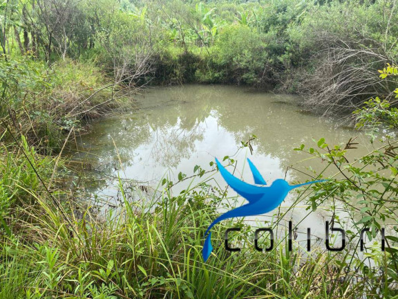 Imagem Chácara à Venda, 21.000 m² em Ribeirãozinho - Agudos Do Sul Imagem Chácara à Venda, 21.000 m² em Ribeirãozinho - Agudos Do Sul