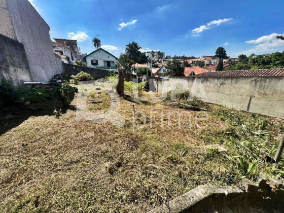 Imagem Terreno à Venda, 347 m² em Vila Irmãos Arnoni - São Paulo Imagem Terreno à Venda, 347 m² em Vila Irmãos Arnoni - São Paulo