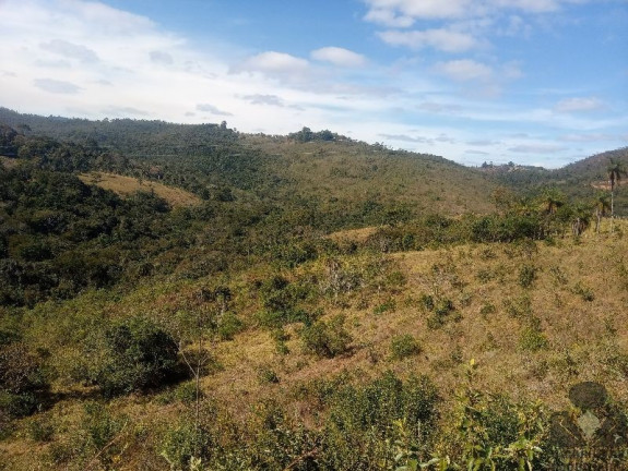 Imagem Imóvel à Venda, 20.000 m² em Fazendinhas Quintas Do Ouro - Caeté Imagem Imóvel à Venda, 20.000 m² em Fazendinhas Quintas Do Ouro - Caeté