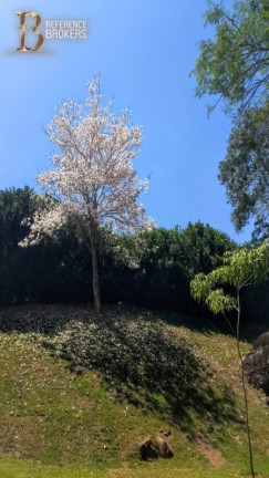 Imagem Imóvel com 4 Quartos à Venda, 450 m² em Xampira - Itatiba