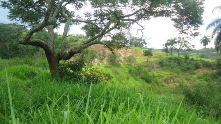 Imagem Fazenda à Venda, 60 m² em Azurita - Mateus Leme Imagem Fazenda à Venda, 60 m² em Azurita - Mateus Leme