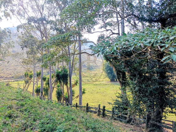 Imagem Fazenda à Venda, 240 m² em Santa Rita - São Luíz Do Paraitinga