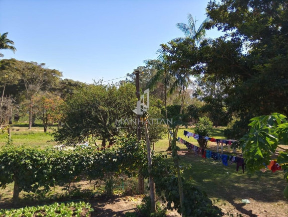 Imagem Imóvel com 3 Quartos à Venda, 400 m² em Iate Clube De Campinas - Americana Imagem Imóvel com 3 Quartos à Venda, 400 m² em Iate Clube De Campinas - Americana