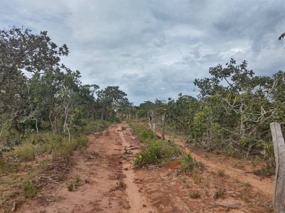 Imagem Fazenda à Venda, 75 m² em Uberlândia Imagem Fazenda à Venda, 75 m² em Uberlândia