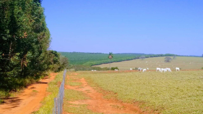 Imagem Chácara à Venda, 76 m² em Centro - Duartina Imagem Chácara à Venda, 76 m² em Centro - Duartina