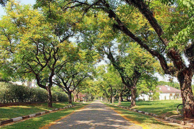 Imagem Terreno à Venda, 3.000 m² em Condomínio City Castelo - Itu Imagem Terreno à Venda, 3.000 m² em Condomínio City Castelo - Itu