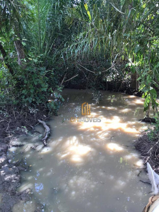 Imagem Chácara à Venda, 121.000 m² em Fazenda - Itapirapuã Imagem Chácara à Venda, 121.000 m² em Fazenda - Itapirapuã