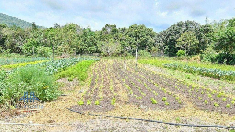 Imagem Fazenda à Venda, 400 m² em Ratones - Florianópolis Imagem Fazenda à Venda, 400 m² em Ratones - Florianópolis