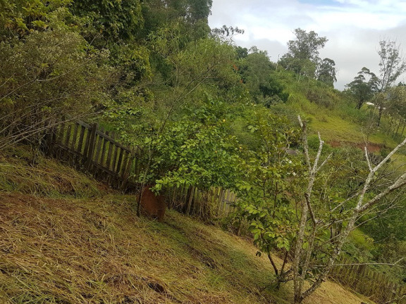 Imagem Imóvel à Venda, em Redenção Da Serra Imagem Imóvel à Venda, em Redenção Da Serra