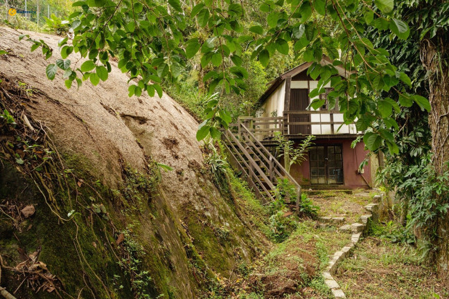 Imagem Casa com 4 Quartos à Venda, 1.064 m² em Rio Tavares - Florianópolis Imagem Casa com 4 Quartos à Venda, 1.064 m² em Rio Tavares - Florianópolis