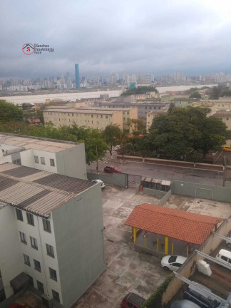 Imagem Apartamento com 2 Quartos à Venda, 50 m² em Quinta Da Paineira - São Paulo Imagem Apartamento com 2 Quartos à Venda, 50 m² em Quinta Da Paineira - São Paulo