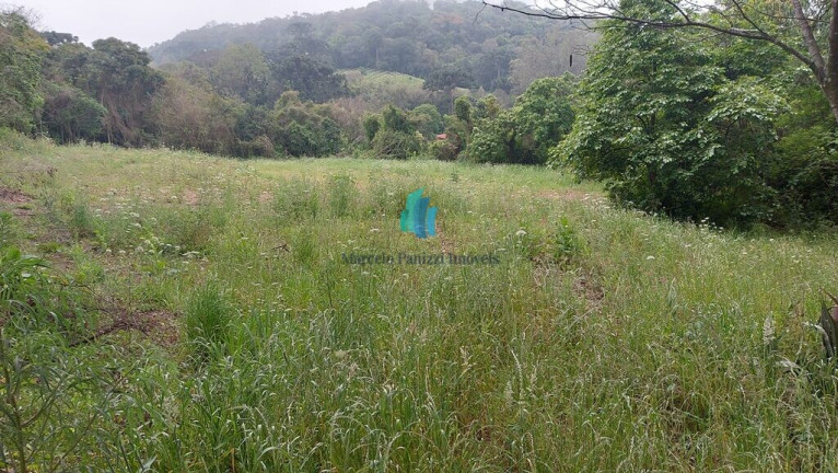 Imagem Terreno à Venda, 10.159 m² em Vale Dos Vinhedos - Bento Gonçalves Imagem Terreno à Venda, 10.159 m² em Vale Dos Vinhedos - Bento Gonçalves