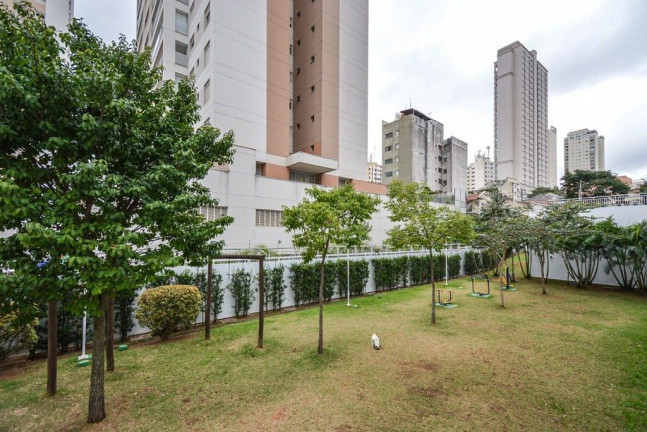 Imagem Apartamento com 4 Quartos à Venda, 171 m² em Aclimação - São Paulo Imagem Apartamento com 4 Quartos à Venda, 171 m² em Aclimação - São Paulo