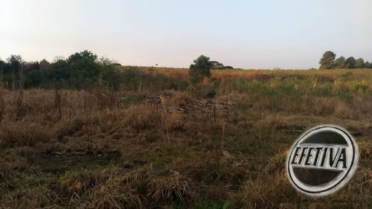 Imagem Terreno à Venda, 5 m² em Thomaz Coelho - Araucária Imagem Terreno à Venda, 5 m² em Thomaz Coelho - Araucária
