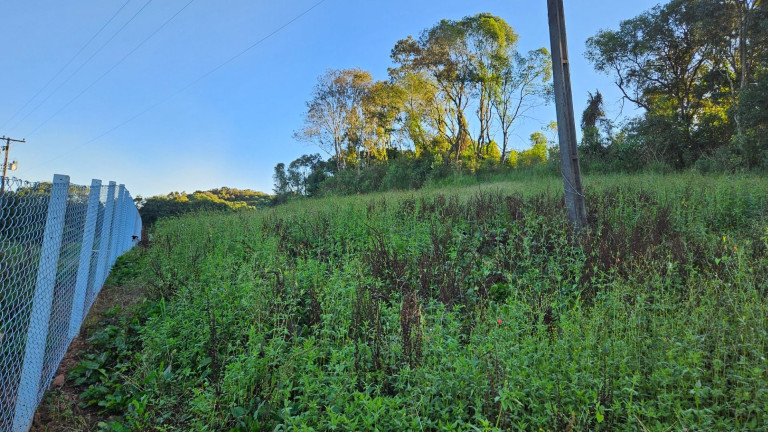 Imagem Fazenda à Venda, em Zona Rural - Araucaria Imagem Fazenda à Venda, em Zona Rural - Araucaria