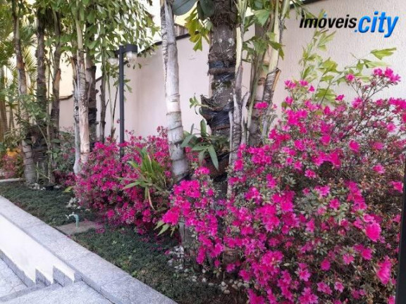 Imagem Apartamento com 2 Quartos à Venda, 80 m² em Chácara Inglesa - São Paulo