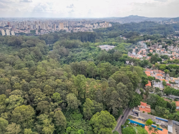 Imagem Apartamento com 3 Quartos à Venda, 101 m² em Tucuruvi - São Paulo