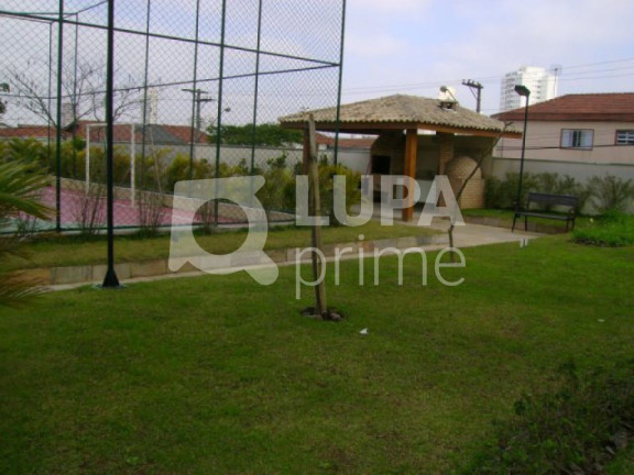Imagem Apartamento com 2 Quartos à Venda, 52 m² em Vila Maria - São Paulo Imagem Apartamento com 2 Quartos à Venda, 52 m² em Vila Maria - São Paulo