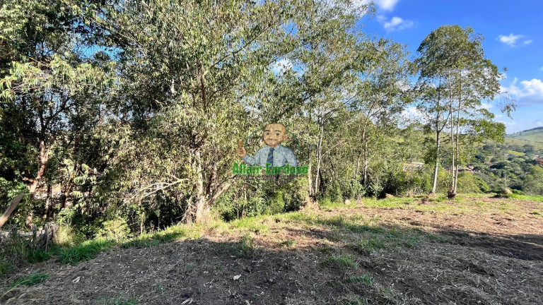 Imagem Chácara à Venda, 8.000 m² em Centro - Paraibuna Imagem Chácara à Venda, 8.000 m² em Centro - Paraibuna