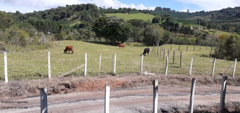 Imagem Imóvel à Venda, 10.000 m² em Centro - Campestre Imagem Imóvel à Venda, 10.000 m² em Centro - Campestre