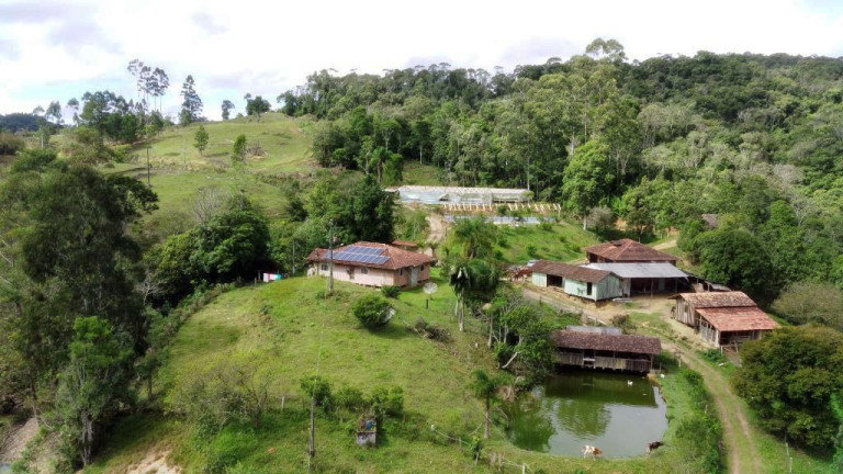 Imagem Imóvel com 6 Quartos à Venda, 250.000 m² em Zona Rural - Apiúna