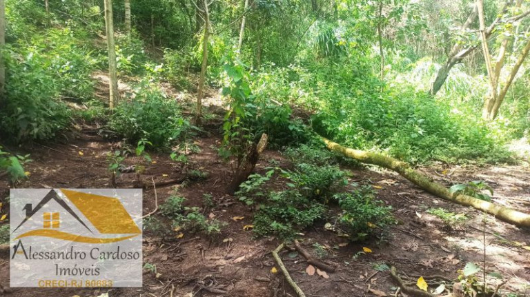 Imagem Terreno à Venda, 1.570 m² em Parque Dom João Vi - Nova Friburgo