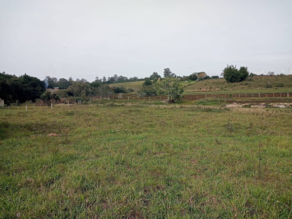 Imagem Chácara à Venda, 10.000 m² em águas Claras - Viamão Imagem Chácara à Venda, 10.000 m² em águas Claras - Viamão