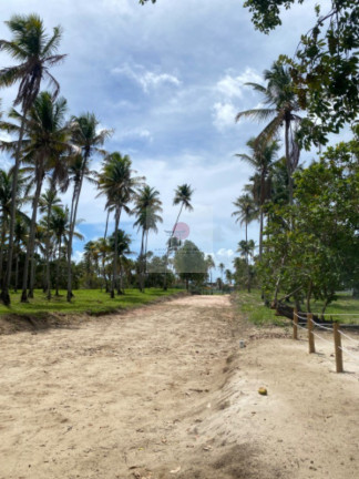 Imagem Terreno à Venda, 200 m² em Carneiros - Tamandaré Imagem Terreno à Venda, 200 m² em Carneiros - Tamandaré
