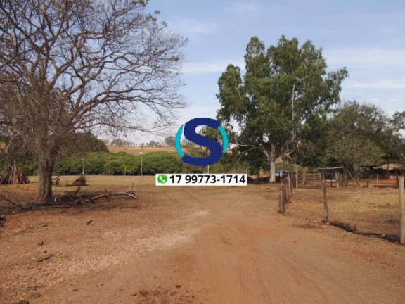Imagem Chácara à Venda, 20.000 m² em Tupinambá - Indiaporã Imagem Chácara à Venda, 20.000 m² em Tupinambá - Indiaporã