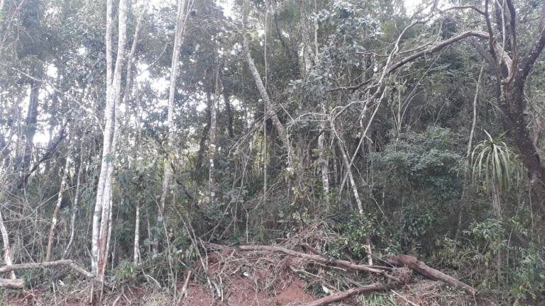 Terreno à Venda, 1.000 m² em Ortizes - Piedade
