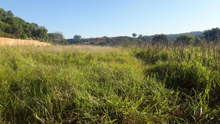 Imagem Terreno à Venda, 1.010 m² em Poço - Piedade Imagem Terreno à Venda, 1.010 m² em Poço - Piedade