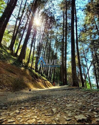 Imagem Apartamento com 2 Quartos à Venda, 50 m² em Santa Terezinha - São Bernardo Do Campo Imagem Apartamento com 2 Quartos à Venda, 50 m² em Santa Terezinha - São Bernardo Do Campo