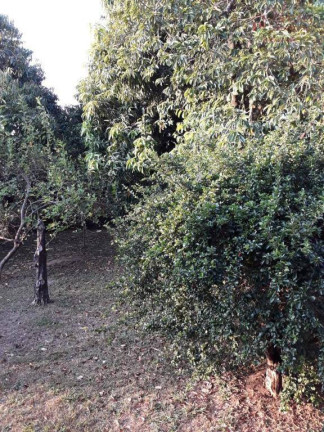 Imagem Casa com 3 Quartos à Venda, 238 m² em Centro - Salto