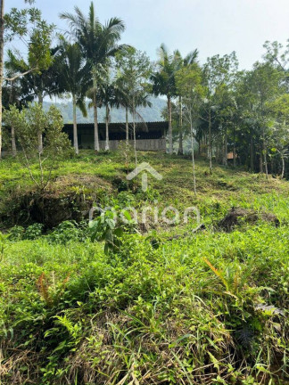 Imagem Fazenda à Venda, 10.000 m² em Alto Bau - Ilhota Imagem Fazenda à Venda, 10.000 m² em Alto Bau - Ilhota