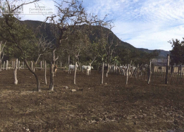 Imagem Chácara à Venda, 9.680.000 m² em Centro - Cavalcante Imagem Chácara à Venda, 9.680.000 m² em Centro - Cavalcante