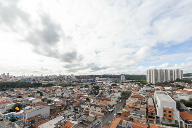 Imagem Apartamento com 3 Quartos à Venda, em Vila Monte Alegre - São Paulo Imagem Apartamento com 3 Quartos à Venda, em Vila Monte Alegre - São Paulo
