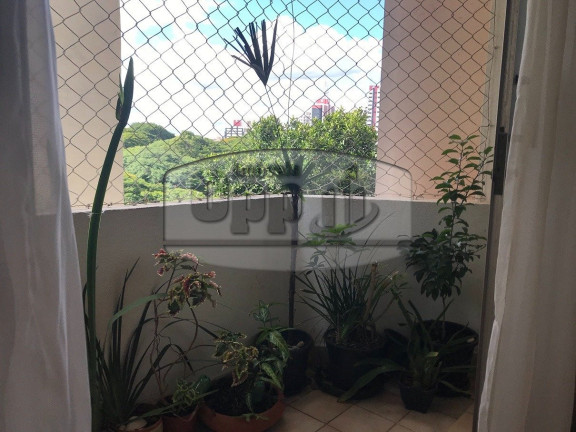 Imagem Apartamento com 3 Quartos à Venda, em V. Guarani - São Paulo Imagem Apartamento com 3 Quartos à Venda, em V. Guarani - São Paulo
