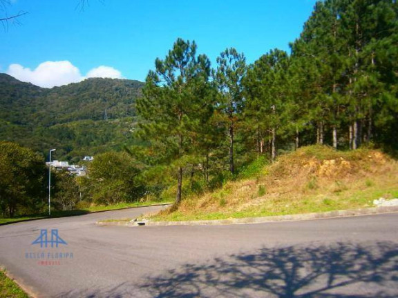 Imagem Terreno à Venda, 747 m² em Itacorubi - Florianópolis