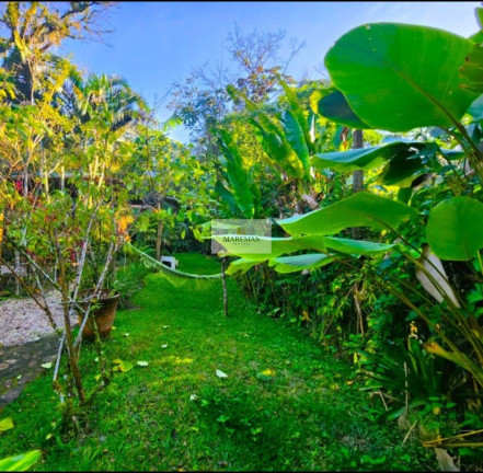 Imagem Casa com 4 Quartos à Venda, 250 m² em Maresias - São Sebastião