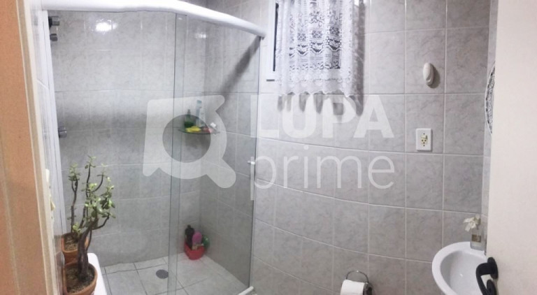 Imagem Apartamento com 3 Quartos à Venda, 70 m² em Parada Inglesa - São Paulo Imagem Apartamento com 3 Quartos à Venda, 70 m² em Parada Inglesa - São Paulo
