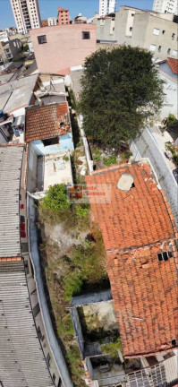 Imagem Terreno para Alugar, 500 m² em Vila Príncipe De Gales - Santo André Imagem Terreno para Alugar, 500 m² em Vila Príncipe De Gales - Santo André