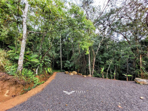 Imagem Chácara à Venda, 24.900 m² em Três Rios Do Norte - Jaraguá Do Sul