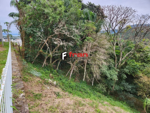 Imagem Imóvel à Venda, 794 m² em Córrego Grande - Florianópolis Imagem Imóvel à Venda, 794 m² em Córrego Grande - Florianópolis