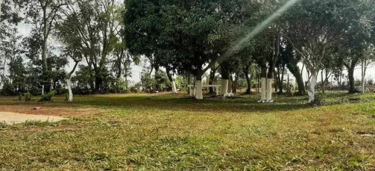 Imagem Chácara com 3 Quartos à Venda, 31.000 m² em Centro - Tamarana