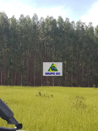 Imagem Fazenda à Venda, 63.000.000 m² em Zona Rural - São Romão Imagem Fazenda à Venda, 63.000.000 m² em Zona Rural - São Romão