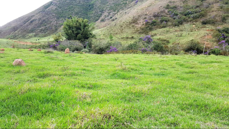 Imóvel à Venda, 144.000 m² em Grama - Juiz De Fora