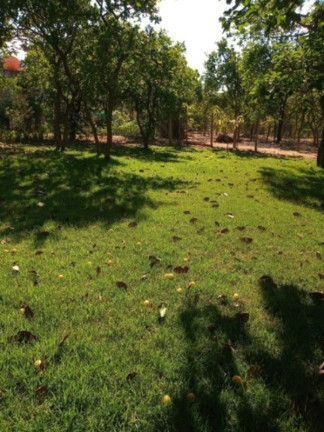 Imagem Terreno à Venda, 1.000 m² em área Rural De Curvelo - Curvelo Imagem Terreno à Venda, 1.000 m² em área Rural De Curvelo - Curvelo